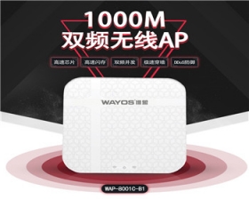湖南维盟千兆双频AP